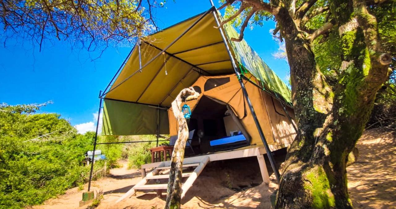 Back Of Beyond Dune Camp Yala Exteriér fotografie