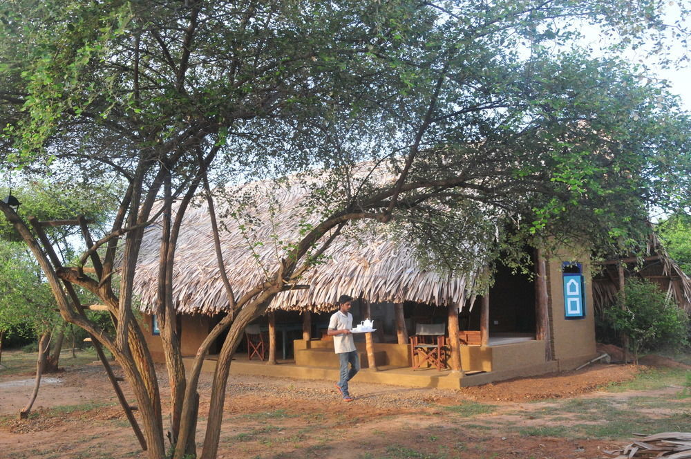 Back Of Beyond Dune Camp Yala Exteriér fotografie