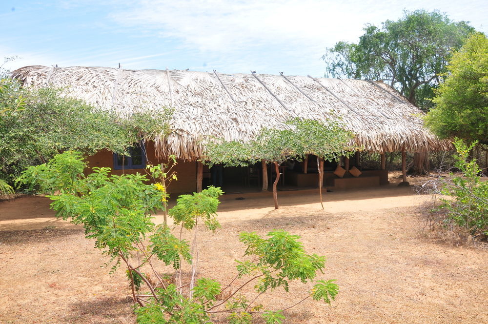 Back Of Beyond Dune Camp Yala Exteriér fotografie