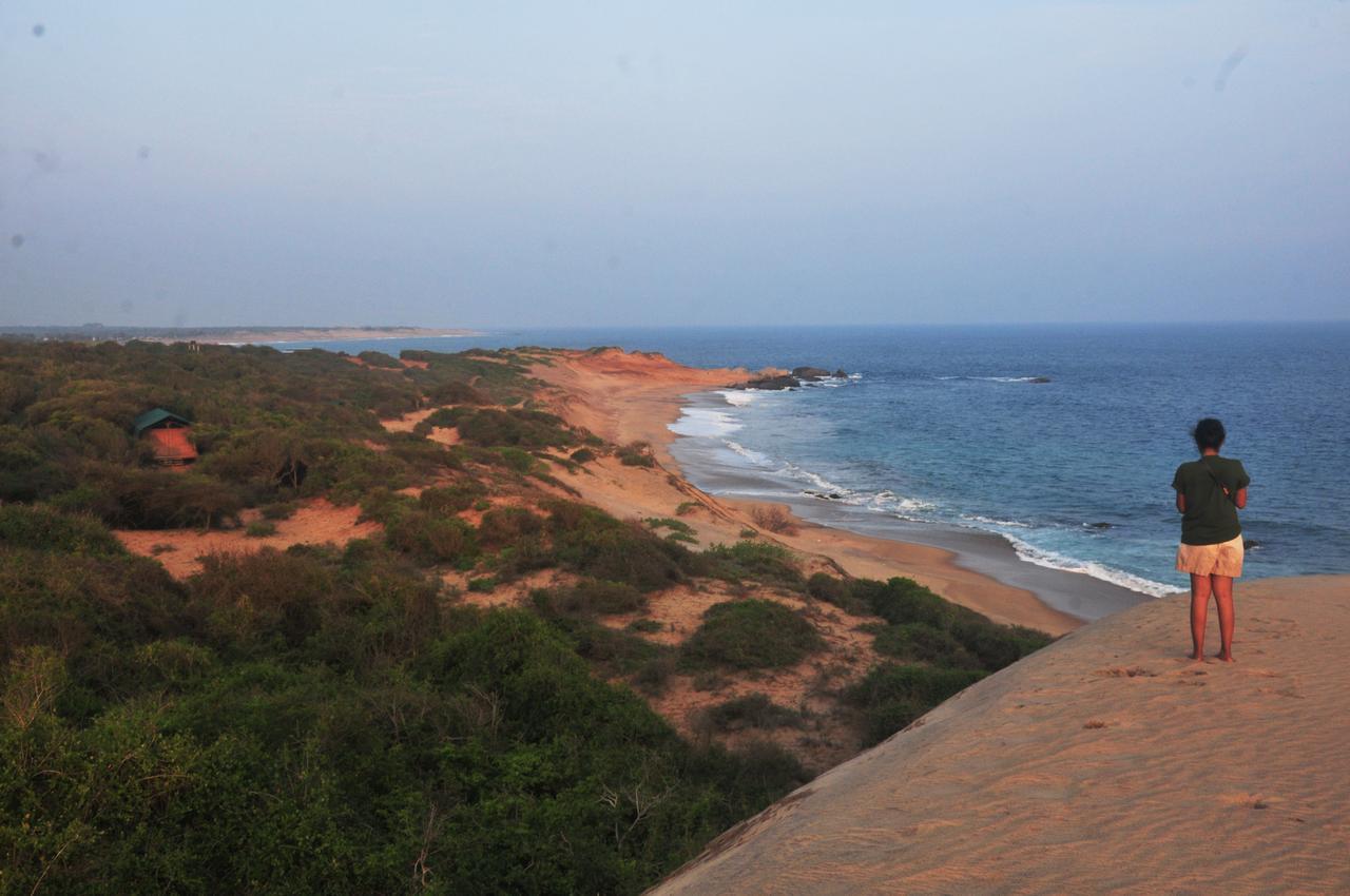 Back Of Beyond Dune Camp Yala Exteriér fotografie