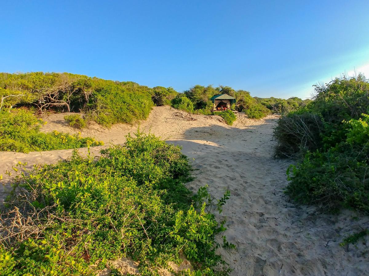 Back Of Beyond Dune Camp Yala Exteriér fotografie