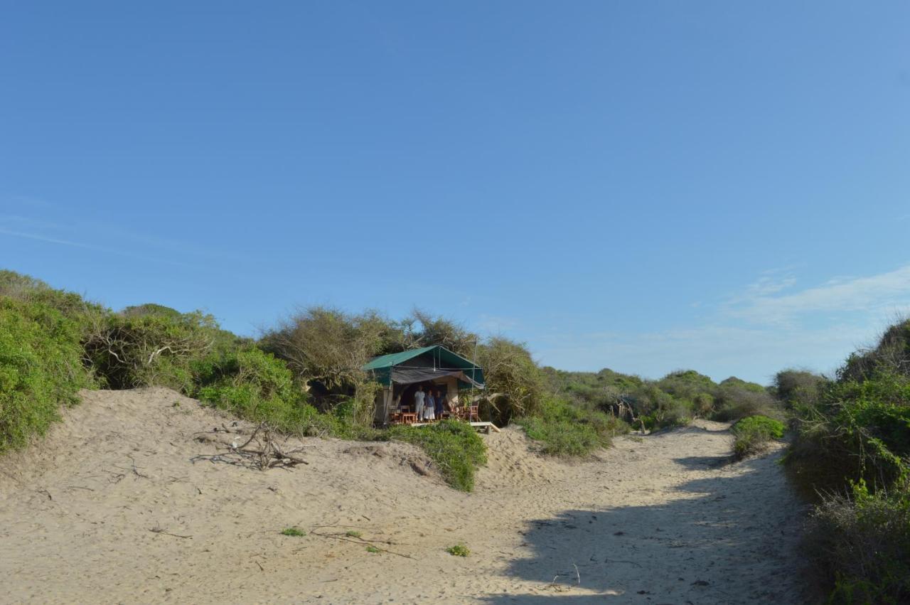 Back Of Beyond Dune Camp Yala Exteriér fotografie